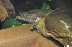 Zoo Wrocław