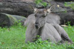 Zoo Ostrava