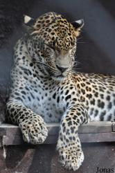 Zoo Ostrava