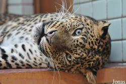 Zoo Ostrava