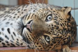 Zoo Ostrava