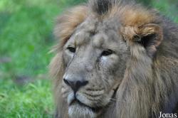 Zoo Ostrava