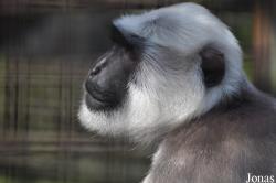 Zoo Ostrava
