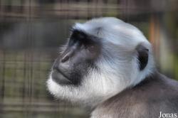 Zoo Ostrava