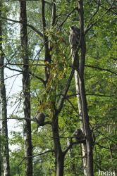 Zoo Ostrava