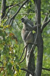 Zoo Ostrava
