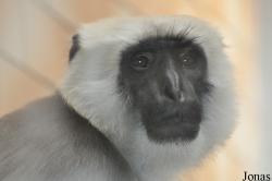 Zoo Ostrava