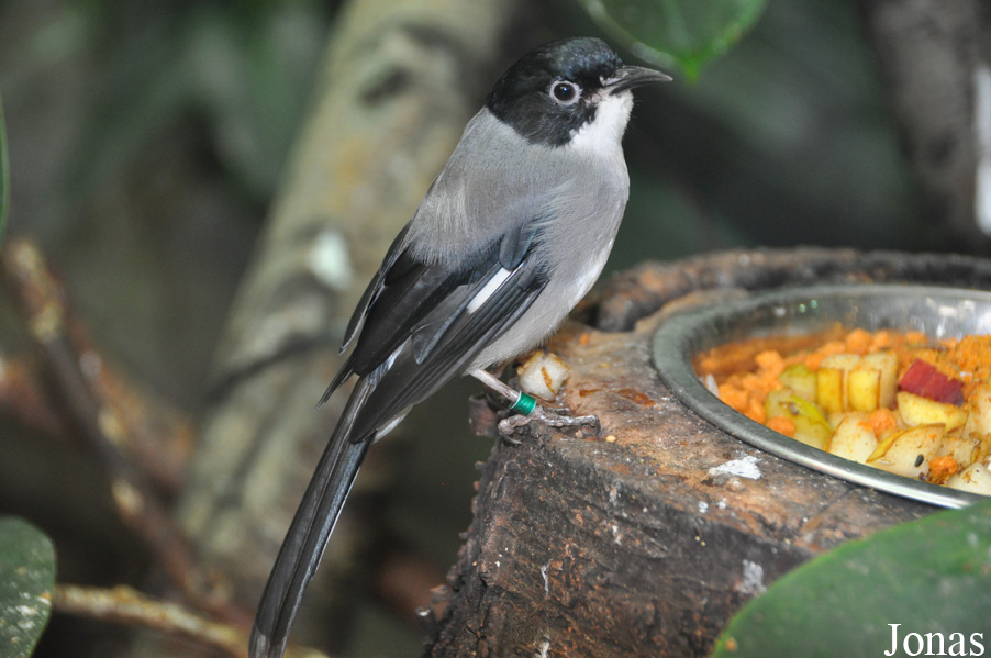 Zoo Ostrava