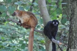 Zoo Ostrava