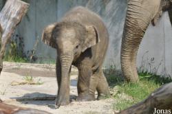 Zoo Ostrava