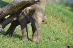 Zoo Ostrava