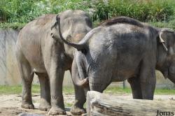 Zoo Ostrava