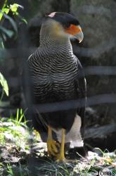 Zoo Ostrava