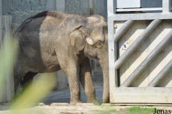 Zoo Ostrava