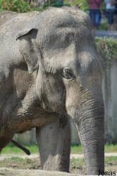 Zoo Ostrava
