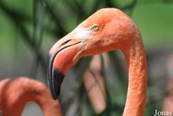 Zoo Ostrava