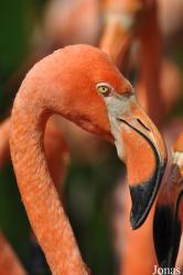 Zoo Ostrava