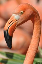 Zoo Ostrava