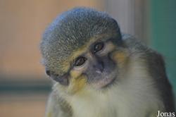 Zoopark Zájezd