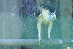 Zoopark Zájezd