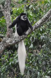 Arusha National Park