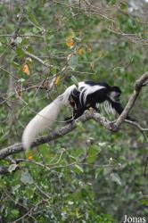 Arusha National Park