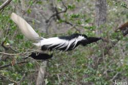 Arusha National Park