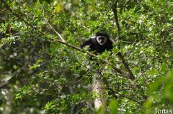 Arusha National Park