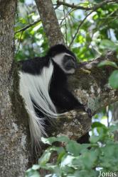 Arusha National Park
