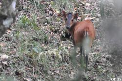 Arusha National Park