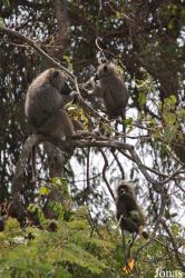 Arusha National Park