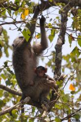 Arusha National Park