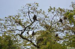 Arusha National Park