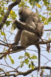 Arusha National Park