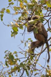 Arusha National Park