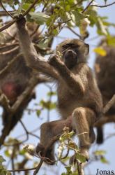 Arusha National Park