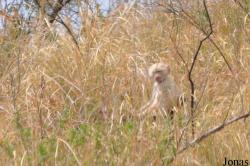 Arusha National Park