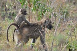 Arusha National Park