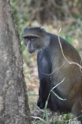 Arusha National Park