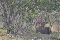 Arusha National Park