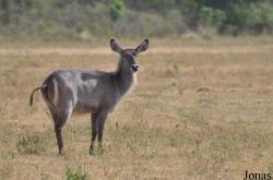 Arusha National Park