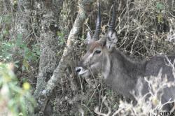 Arusha National Park