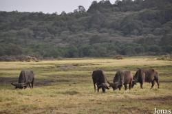Arusha National Park