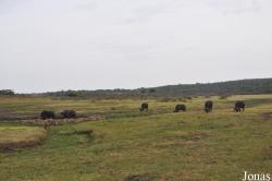 Arusha National Park