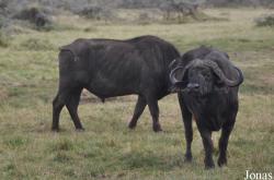 Arusha National Park