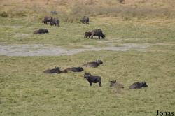 Arusha National Park