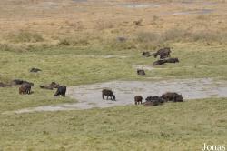 Arusha National Park