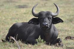 Arusha National Park