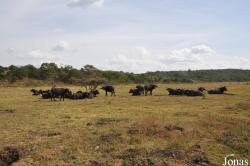 Arusha National Park