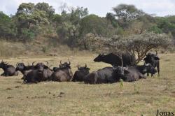 Arusha National Park